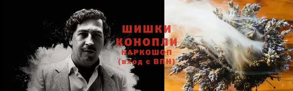 соль ск Нея