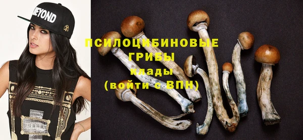 соль ск Нея