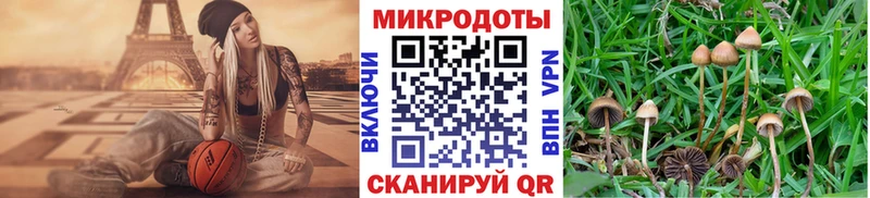 где можно купить   блэк спрут зеркало  Галлюциногенные грибы ЛСД  Зерноград 