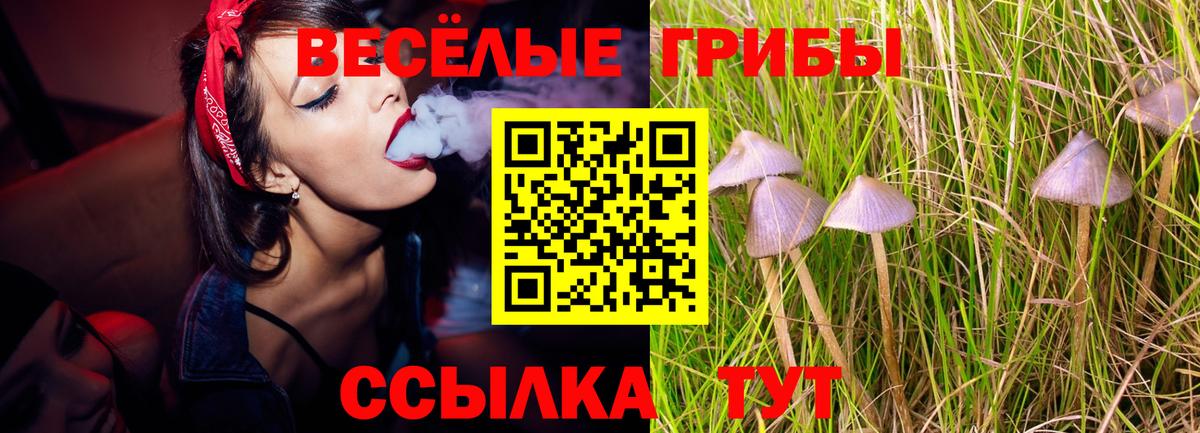 Зерноград  Галлюциногенные грибы Psilocybine cubensis  Вход с VPN 