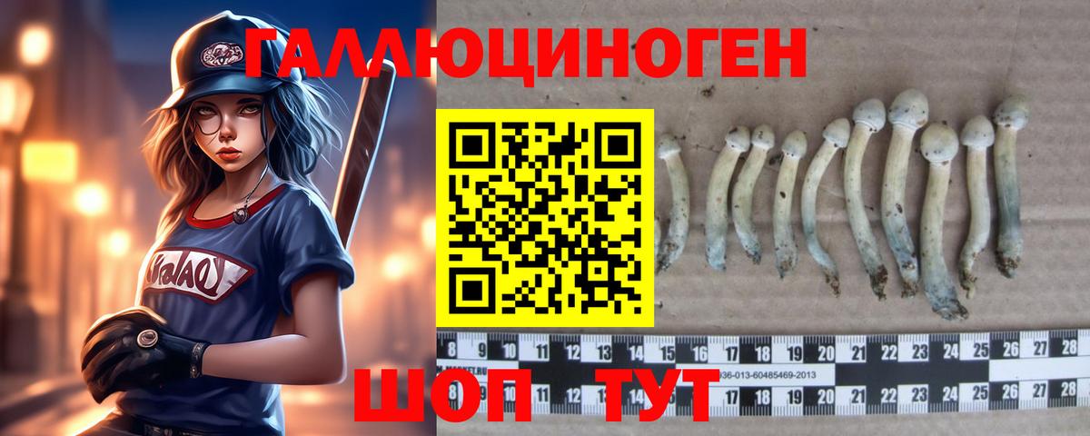 Галлюциногенные грибы Psilocybe Зерноград