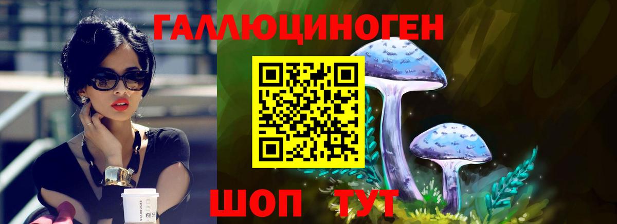 Псилоцибиновые грибы Psilocybe  Зерноград  Псилоцибиновые грибы мицелий 